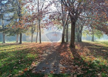 Giardino - Apartment Via Gramsci
 
23, Cairo Montenotte - photo 26