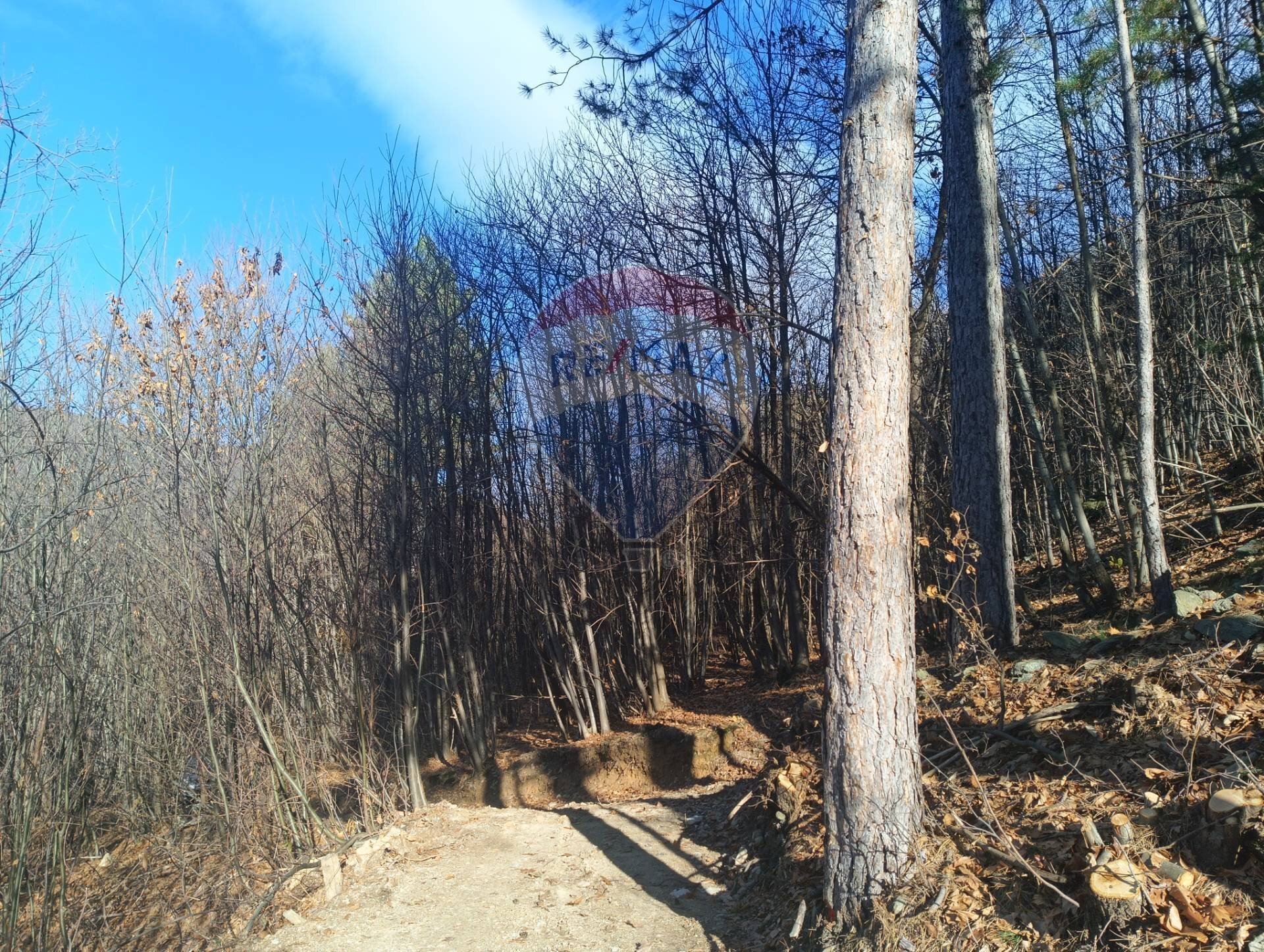 Giardino - Agricultural land Bormida - photo 1