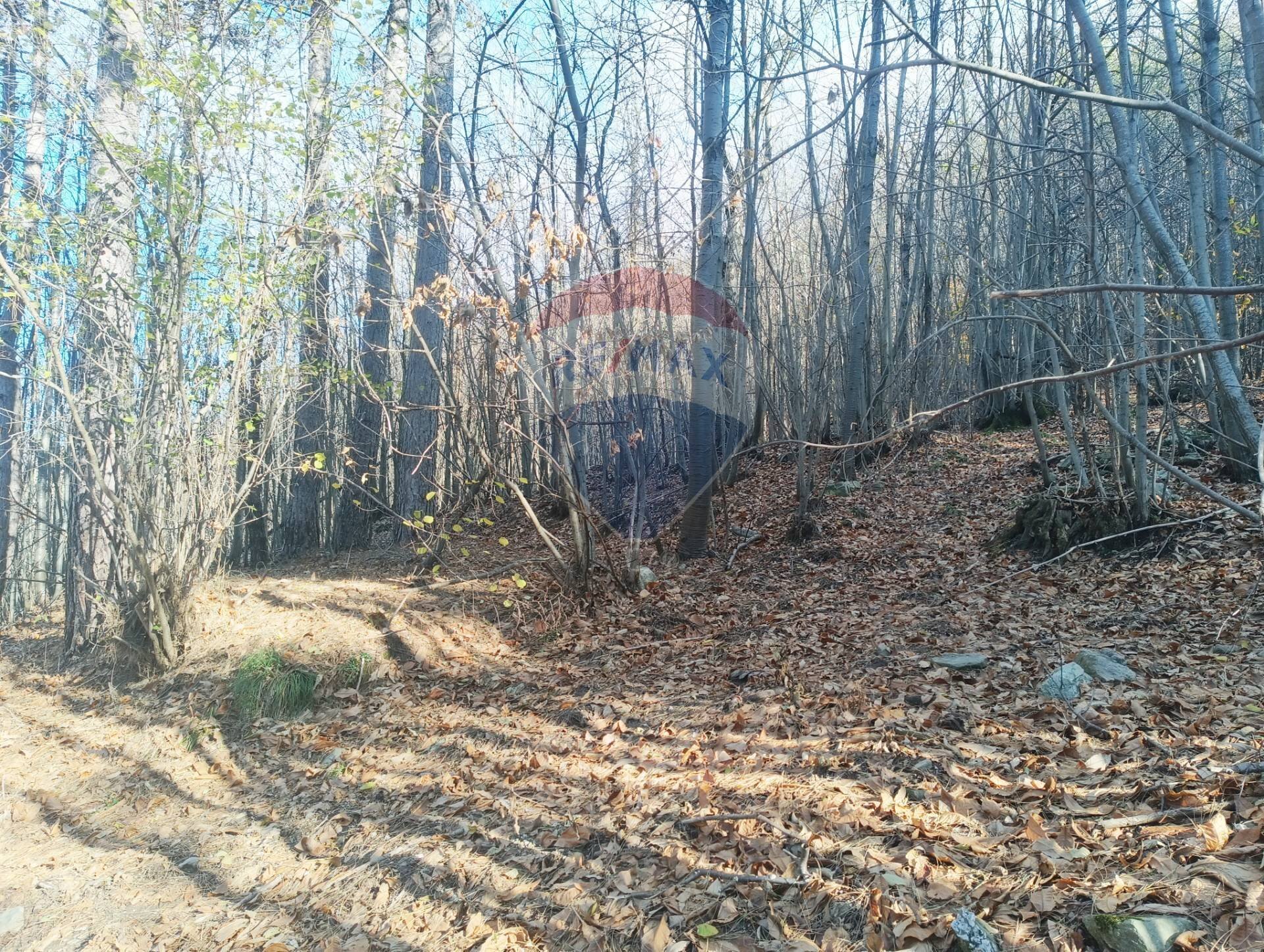 Giardino - Agricultural land Bormida - photo 2