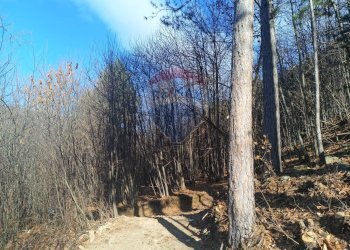 Giardino - Agricultural land Bormida - photo 1