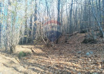 Giardino - Agricultural land Bormida - photo 2