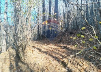 Giardino - Agricultural land Bormida - photo 3