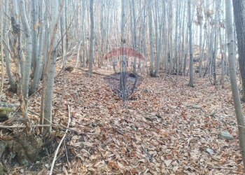 Vista delle montagne - Agricultural land Bormida - photo 4