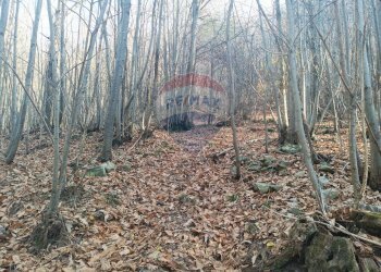 Non correlato - Agricultural land Bormida - photo 5