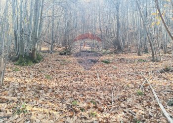 Non correlato - Agricultural land Bormida - photo 6