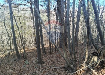 Non correlato - Agricultural land Bormida - photo 9