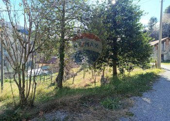 Giardino - Magazzino Loc Navalle, Bormida - foto 4