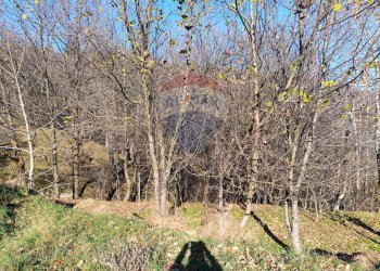 Vista delle montagne - Magazzino Loc Navalle, Bormida - foto 9