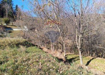 Giardino - Magazzino Loc Navalle, Bormida - foto 10