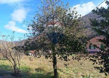 Vista delle montagne - Magazzino Loc Navalle, Bormida - foto 18