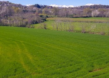 Foto 23 - Quadrilocale Via Tagliamento
 
4-6, Rivalta di Torino - foto 23