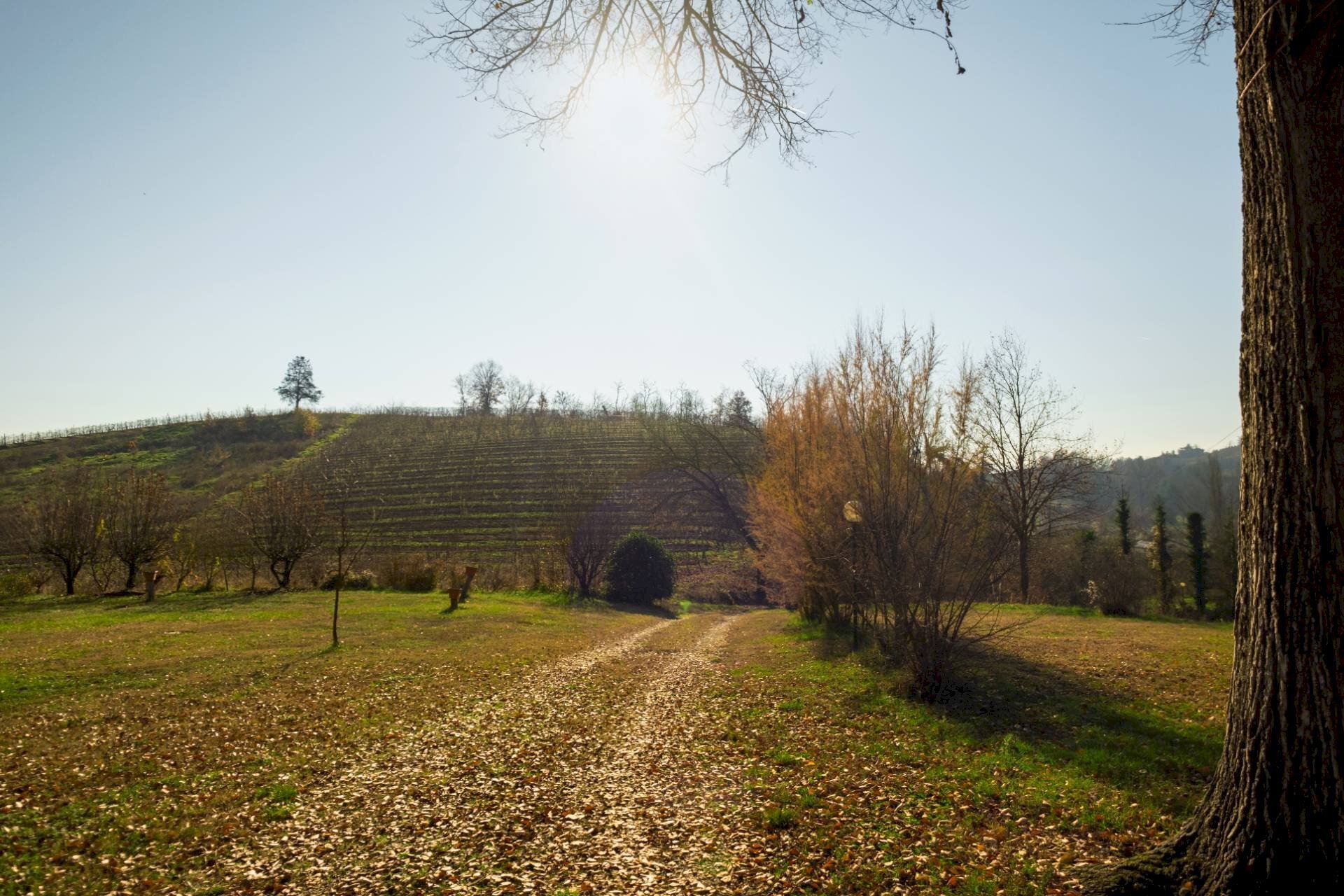 Foto 3 - Villa strada provinciale 40, Nizza Monferrato - foto 3