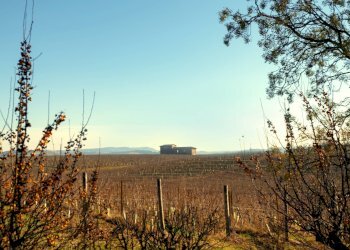 Foto 18 - Villa strada provinciale 40, Nizza Monferrato - foto 18