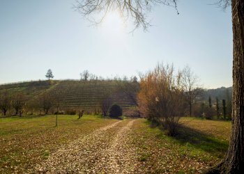 Foto 3 - Villa strada provinciale 40, Nizza Monferrato - foto 3