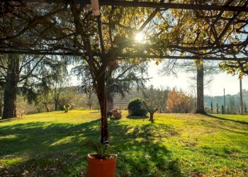 Foto 2 - Villa strada provinciale 40, Nizza Monferrato - foto 2