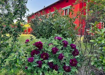 Foto 2 - Villa strada provinciale 40, Nizza Monferrato - foto 2