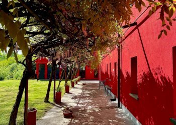 Foto 3 - Villa strada provinciale 40, Nizza Monferrato - foto 3