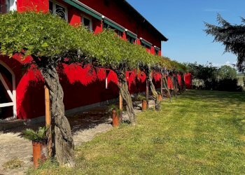 Foto 43 - Villa strada provinciale 40, Nizza Monferrato - foto 37