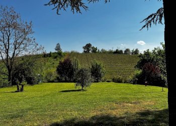 Foto 45 - Villa strada provinciale 40, Nizza Monferrato - foto 39