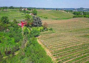 Foto 49 - Villa strada provinciale 40, Nizza Monferrato - foto 43