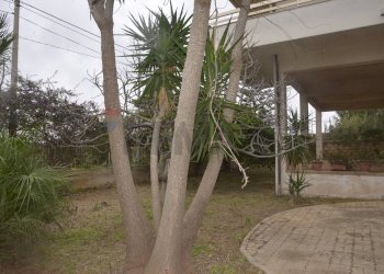 Giardino - Villa Salvador Allende
 
2, Vittoria - foto 38