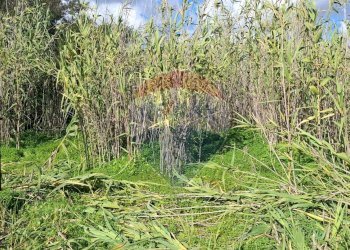 Giardino - Terreno edificabile via strada circonvallazione, Vittoria - foto 6