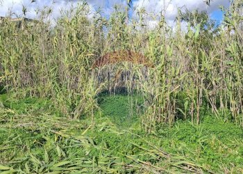 Giardino - Terreno edificabile via strada circonvallazione, Vittoria - foto 7