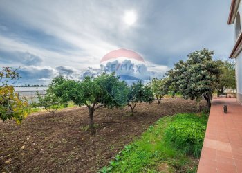 Giardino - Casa semi indipendente C.da Beneventana, Ragusa - foto 12