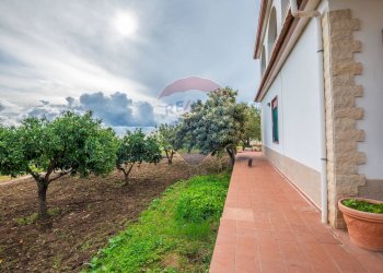Giardino - Casa semi indipendente C.da Beneventana, Ragusa - foto 13