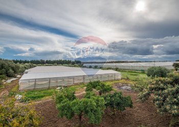 Vista dell\'acqua - Casa semi indipendente C.da Beneventana, Ragusa - foto 34