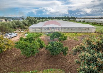 Giardino - Casa semi indipendente C.da Beneventana, Ragusa - foto 55