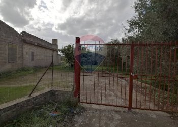 Giardino - Villa via Sandro Pertini strada provinciale 4 Comiso, Comiso - foto 6