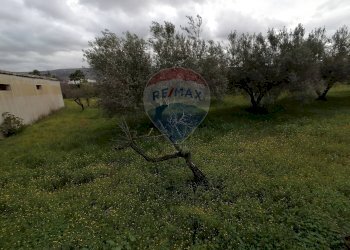 Giardino - Villa via Sandro Pertini strada provinciale 4 Comiso, Comiso - foto 15