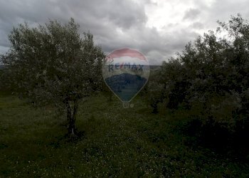 Giardino - Villa via Sandro Pertini strada provinciale 4 Comiso, Comiso - foto 16