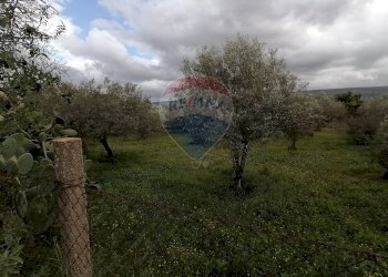 Giardino - Villa via Sandro Pertini strada provinciale 4 Comiso, Comiso - foto 17