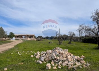 Giardino - Terreno edificabile contrada catteto, Scicli - foto 3