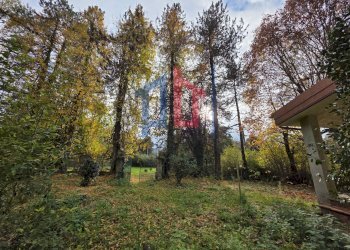 Foto 3 - Terreno agricolo Via Pratoni del Vivaro
 
1, Rocca di Papa - foto 3