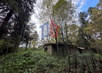 Foto 4 - Terreno agricolo Via Pratoni del Vivaro
 
1, Rocca di Papa - foto 4