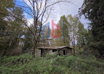 Foto 5 - Terreno agricolo Via Pratoni del Vivaro
 
1, Rocca di Papa - foto 5