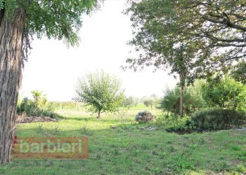 Foto 13 - Rustico via cella
 
586, Ravenna - foto 13