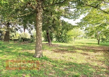 Foto 15 - Rustico via cella
 
586, Ravenna - foto 15