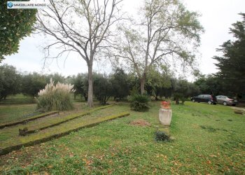 Foto 37 - Rustico Contrada, San Martino in Pensilis - foto 37