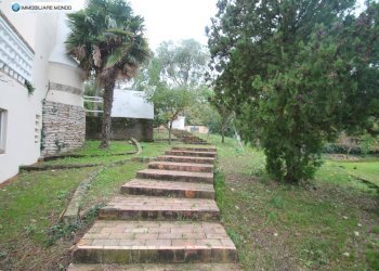 Foto 39 - Rustico Contrada, San Martino in Pensilis - foto 39