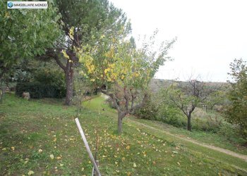 Foto 40 - Rustico Contrada, San Martino in Pensilis - foto 40