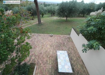 Foto 41 - Rustico Contrada, San Martino in Pensilis - foto 41