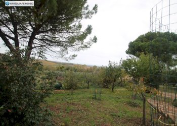 Foto 54 - Rustico Contrada, San Martino in Pensilis - foto 54