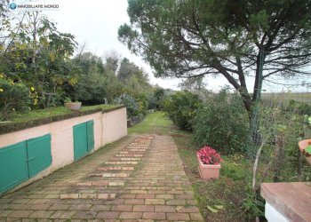 Foto 55 - Rustico Contrada, San Martino in Pensilis - foto 55