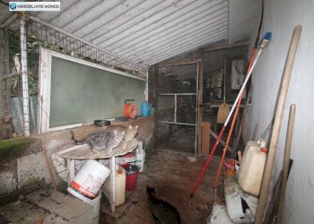 Foto 68 - Rustico Contrada, San Martino in Pensilis - foto 68