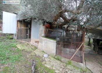 Foto 73 - Rustico Contrada, San Martino in Pensilis - foto 73