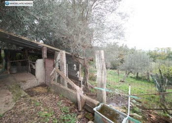 Foto 74 - Rustico Contrada, San Martino in Pensilis - foto 74